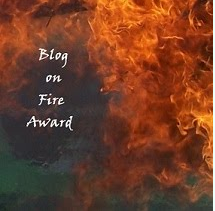 Blog on Fire award